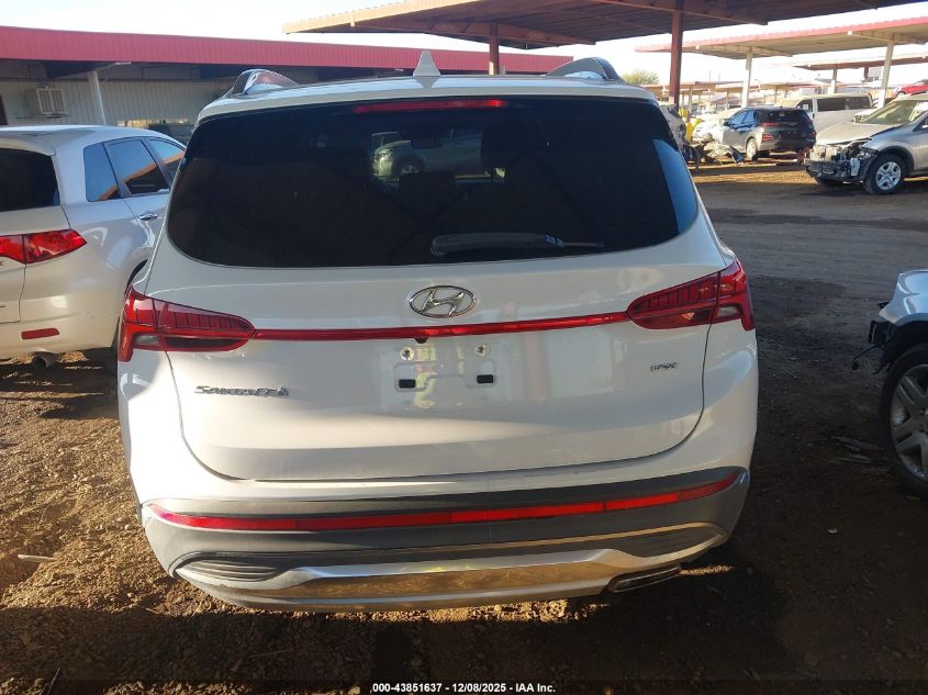 2023 Hyundai Santa Fe Sel VIN: 5NMS3DAJ5PH531591 Lot: 43851637