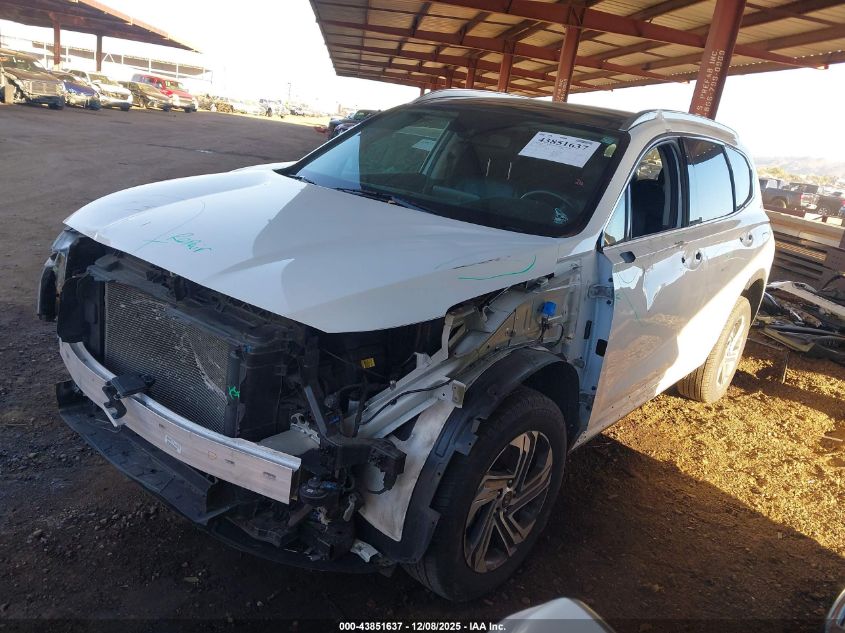 2023 Hyundai Santa Fe Sel VIN: 5NMS3DAJ5PH531591 Lot: 43851637