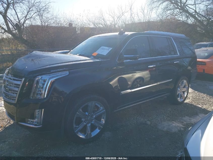 2017 Cadillac Escalade Platinum VIN: 1GYS4DKJ8HR261291 Lot: 43851719