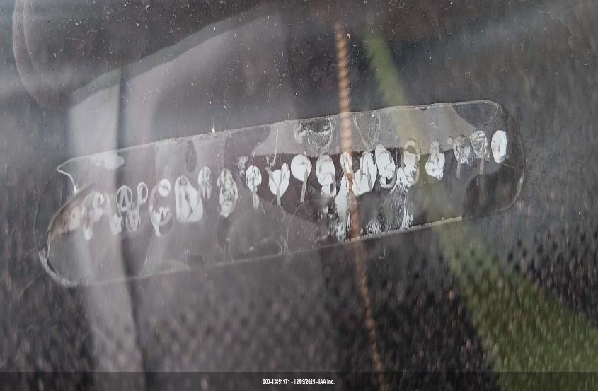 2005 Volkswagen New Beetle Gls VIN: 3VWCM31Y75M304774 Lot: 43851971