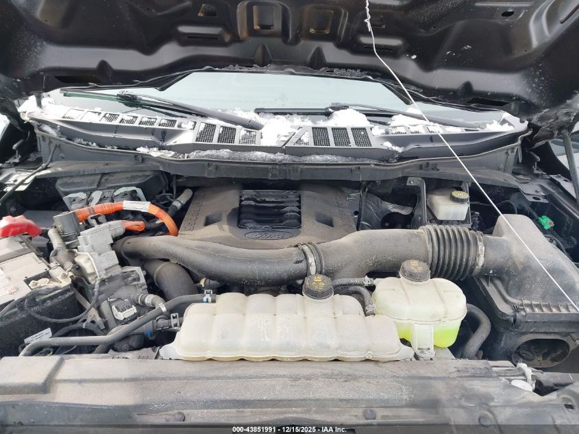 2022 Ford F-150 Xl VIN: 1FTFW1ED7NFB30176 Lot: 43851991