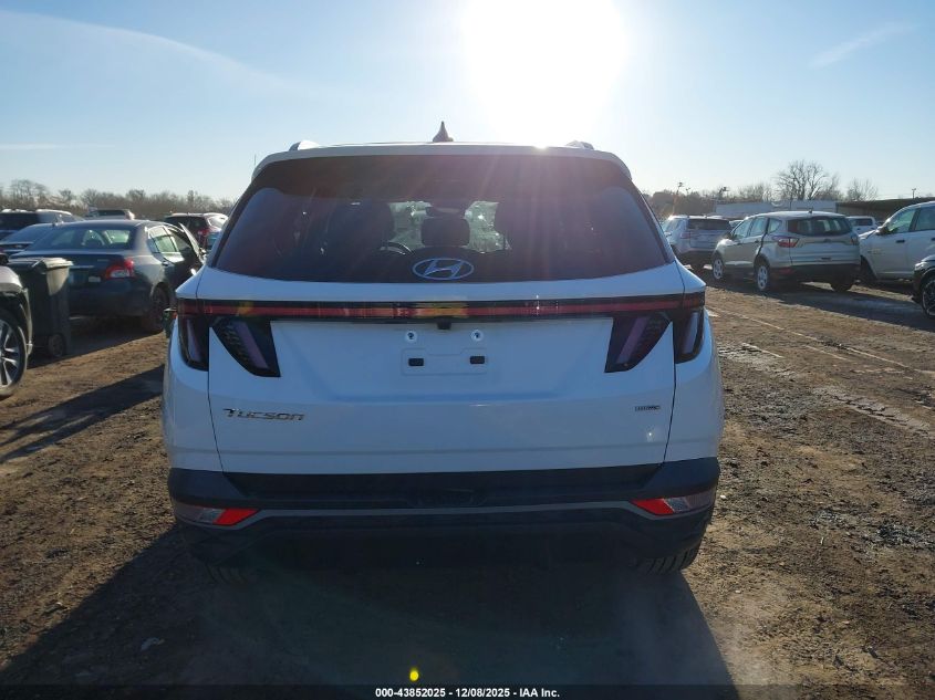 2023 Hyundai Tucson Sel VIN: 5NMJFCAE4PH287769 Lot: 43852025