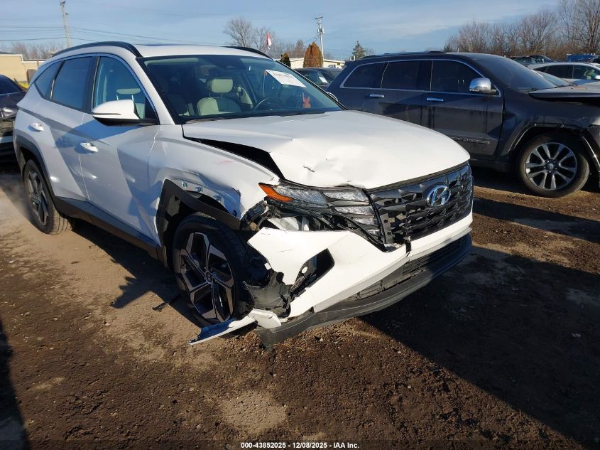 2023 Hyundai Tucson Sel VIN: 5NMJFCAE4PH287769 Lot: 43852025