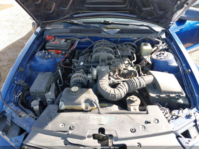 2006 Ford Mustang V6 VIN: 1ZVHT80N865191678 Lot: 43852301