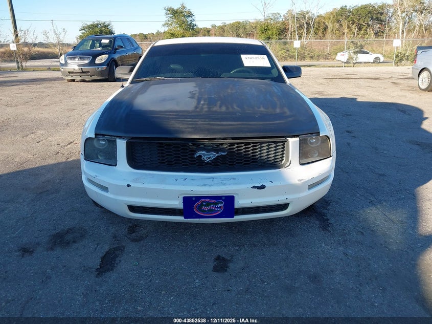 1ZVFT80N575240456 2007 FORD MUSTANG photo no. 6