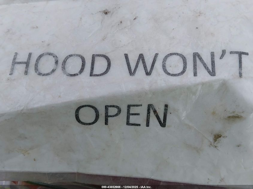 2003 Toyota Tundra Sr5 VIN: 5TBRN341X3S404995 Lot: 43852666