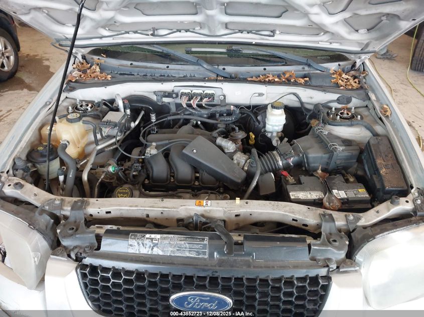 2007 Ford Escape Xlt/Xlt Sport VIN: 1FMYU03137KA51062 Lot: 43852723