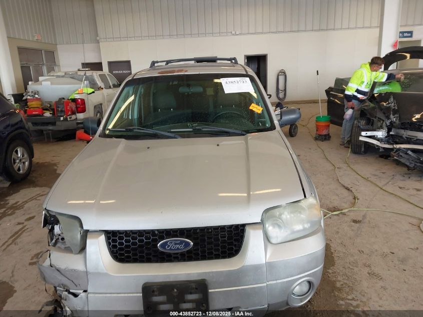 2007 Ford Escape Xlt/Xlt Sport VIN: 1FMYU03137KA51062 Lot: 43852723