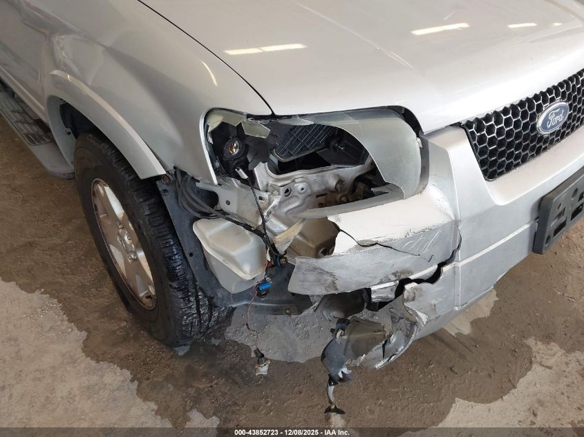 2007 Ford Escape Xlt/Xlt Sport VIN: 1FMYU03137KA51062 Lot: 43852723