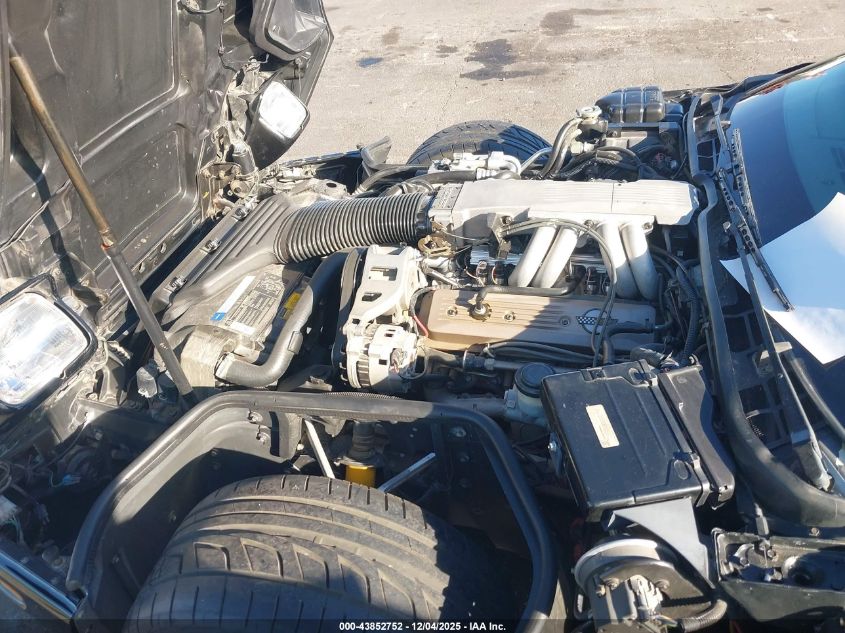 1991 Chevrolet Corvette VIN: 1G1YY3383M5105566 Lot: 43852752