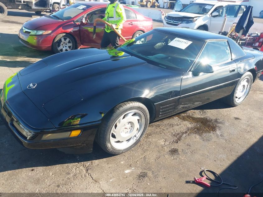 1991 Chevrolet Corvette VIN: 1G1YY3383M5105566 Lot: 43852752
