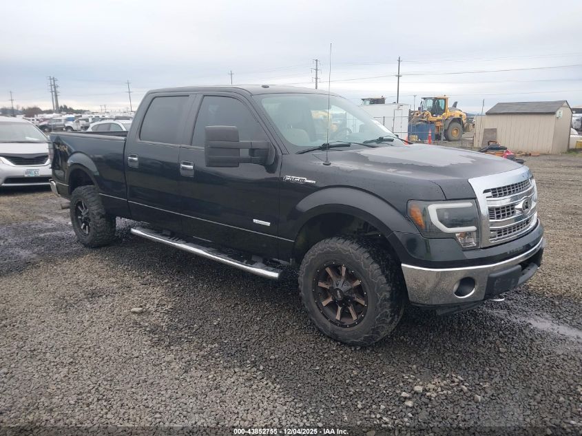 FORD F-150 XLT