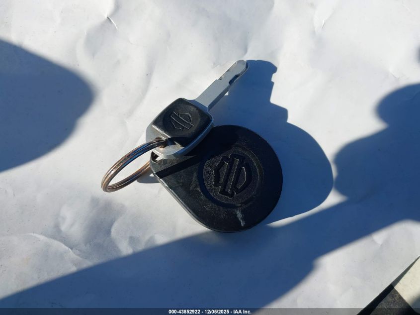 2020 Harley-Davidson Fxlrs VIN: 1HD1YWK24LB024405 Lot: 43852922