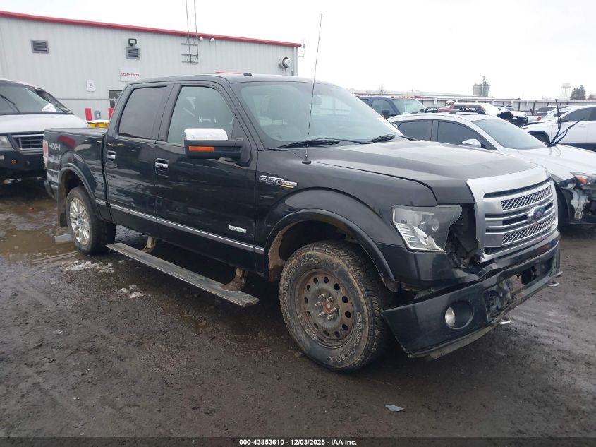 FORD F-150 PLATINUM