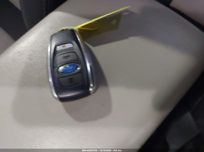 2022 Subaru Forester Premium VIN: JF2SKAEC2NH487093 Lot: 43853709