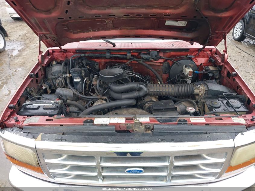 1994 Ford F150 VIN: 1FTEX15N9RKB01017 Lot: 43853753