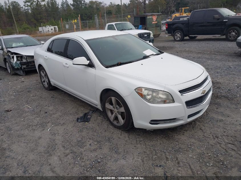 CHEVROLET MALIBU 1LT