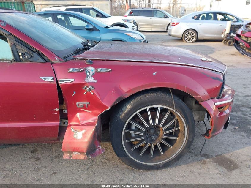 2007 Ford Mustang Gt Deluxe/Gt Premium VIN: 1ZVHT85H875275973 Lot: 43854253