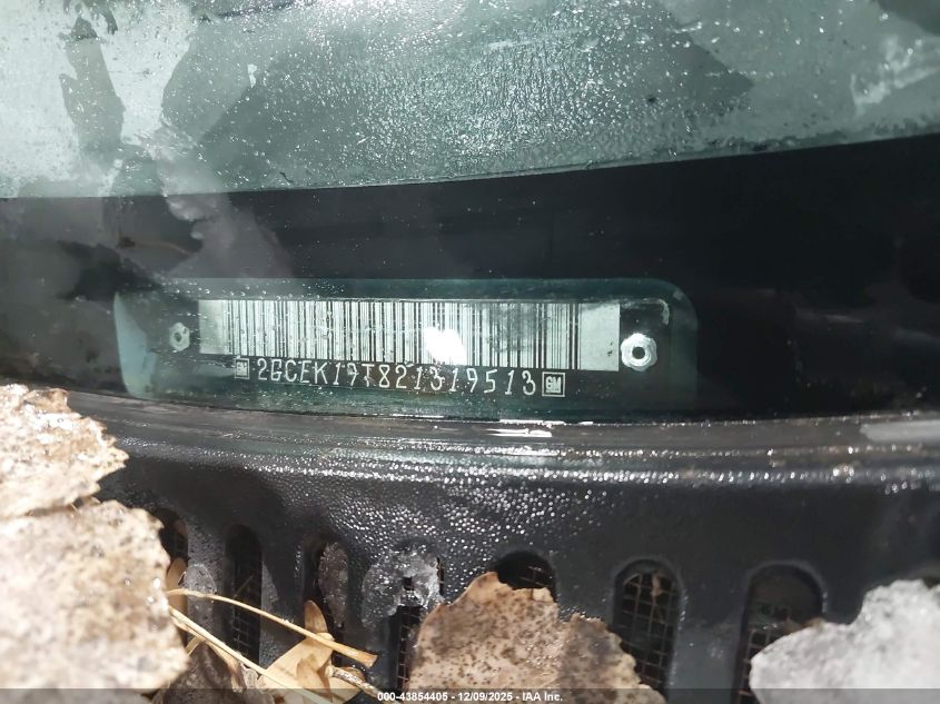 2002 Chevrolet Silverado 1500 Ls VIN: 2GCEK19T821319513 Lot: 43854405