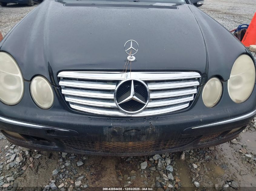2003 Mercedes-Benz E 320 VIN: WDBUF65J53A254594 Lot: 43854438