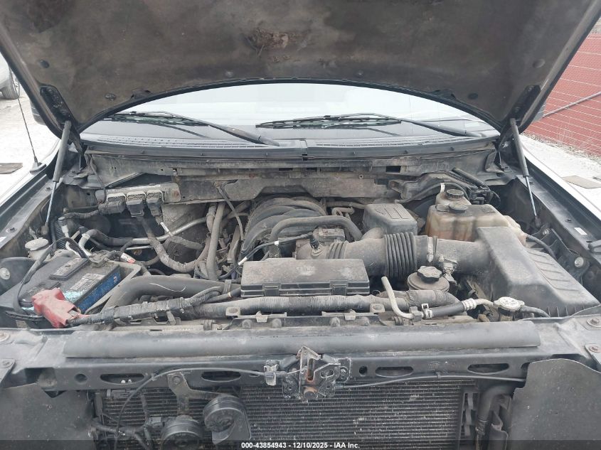 2010 Ford F-150 Stx/Xl/Xlt VIN: 1FTEX1E87AFB56346 Lot: 43854943