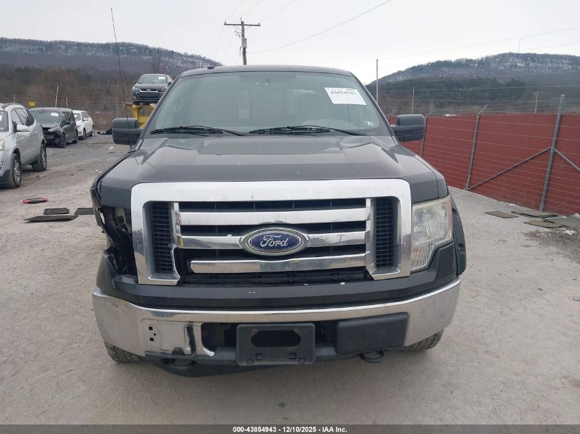 2010 Ford F-150 Stx/Xl/Xlt VIN: 1FTEX1E87AFB56346 Lot: 43854943