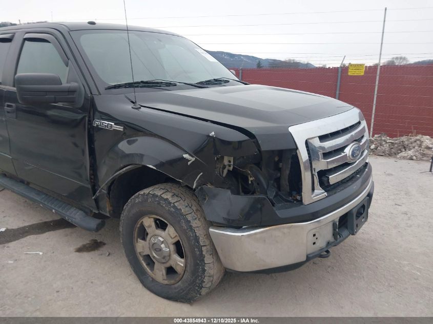 2010 Ford F-150 Stx/Xl/Xlt VIN: 1FTEX1E87AFB56346 Lot: 43854943