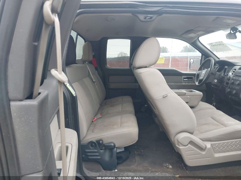 2010 Ford F-150 Stx/Xl/Xlt VIN: 1FTEX1E87AFB56346 Lot: 43854943