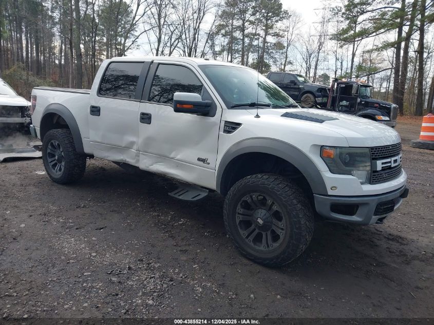 FORD F-150 SVT RAPTOR