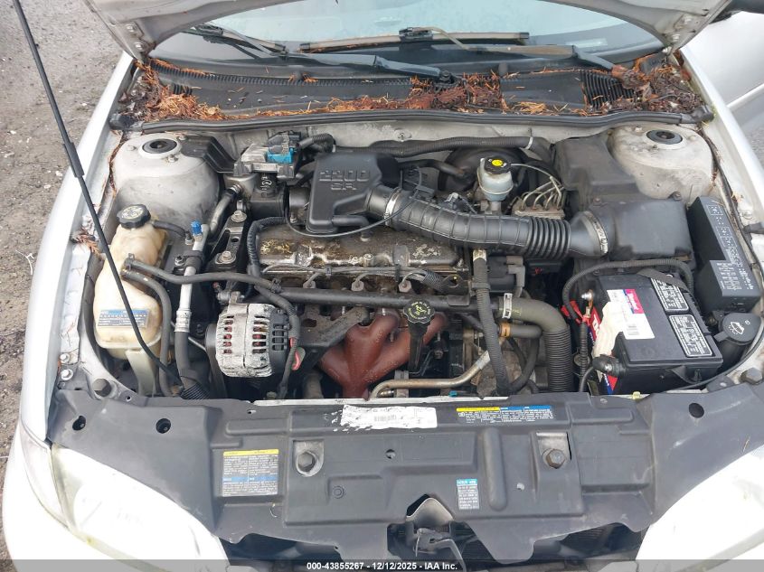 2002 Chevrolet Cavalier VIN: 1G1JC124227317203 Lot: 43855267