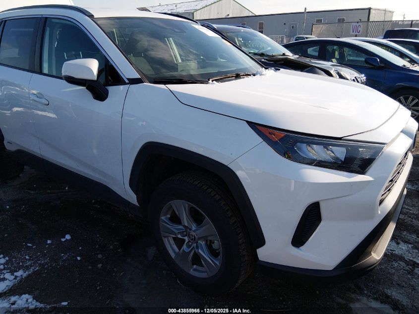 TOYOTA RAV4 HYBRID LE