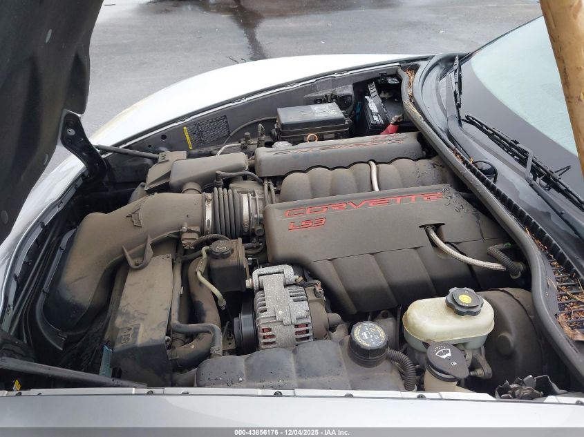 2009 Chevrolet Corvette VIN: 1G1YY36W595109765 Lot: 43856176