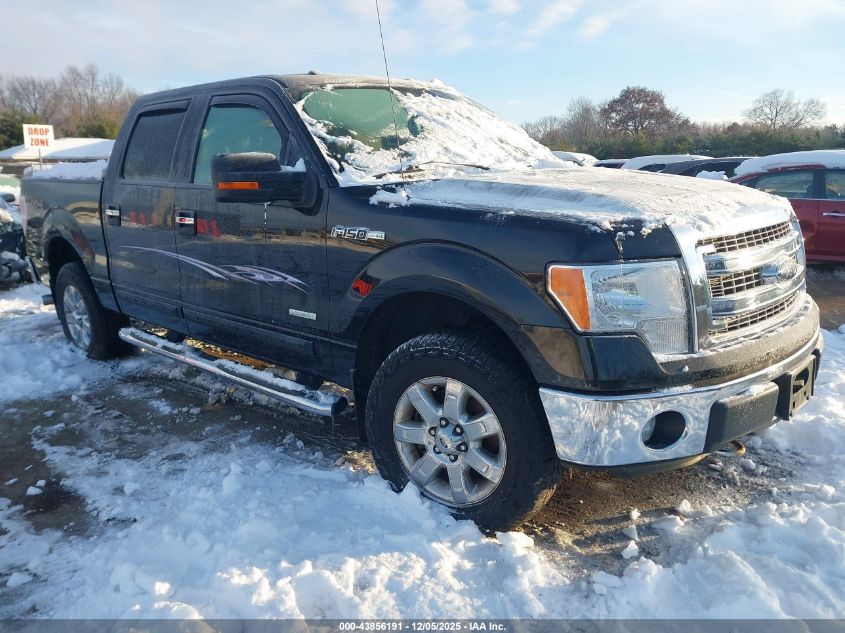 FORD F-150 XLT