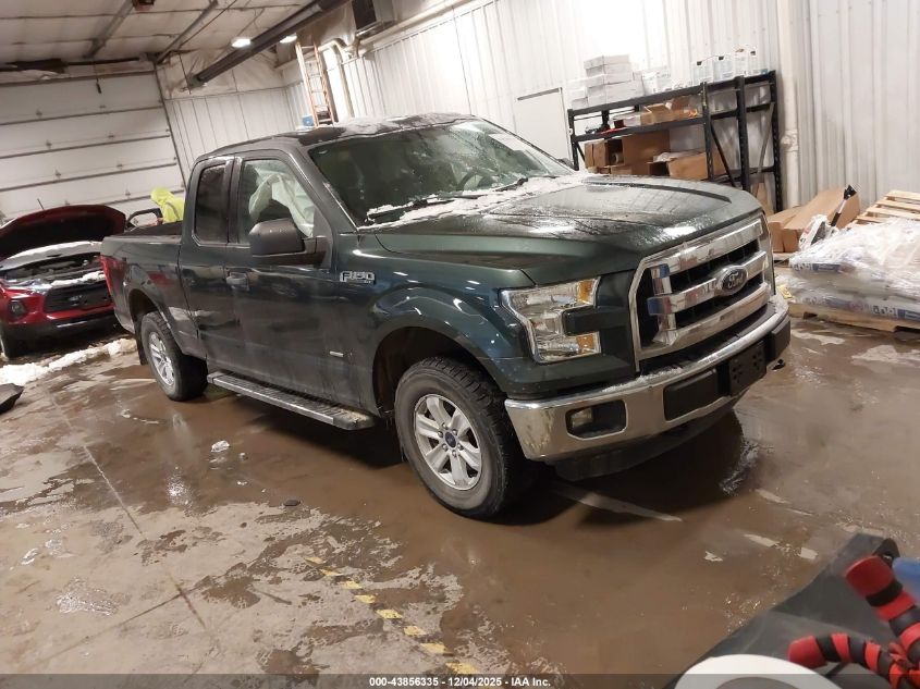 FORD F-150 XLT