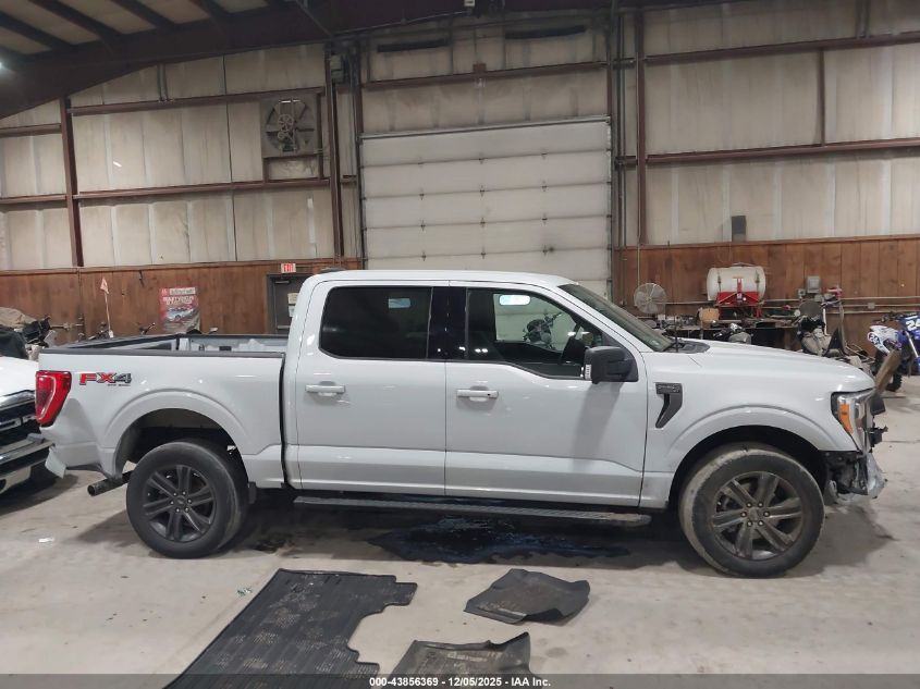 2022 Ford F-150 Xlt VIN: 1FTFW1E88NKE80202 Lot: 43856369