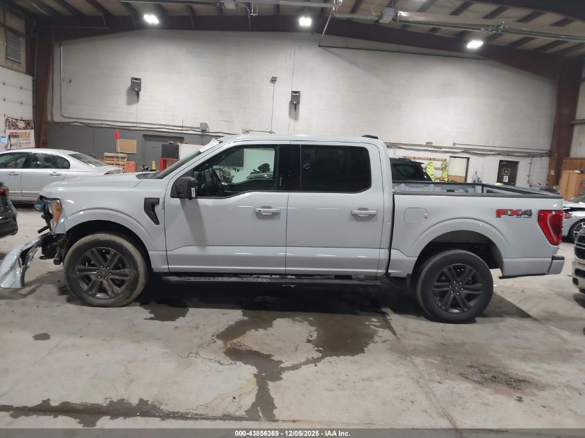 2022 Ford F-150 Xlt VIN: 1FTFW1E88NKE80202 Lot: 43856369