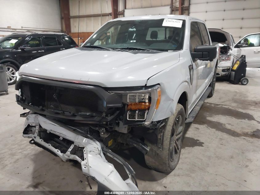 2022 Ford F-150 Xlt VIN: 1FTFW1E88NKE80202 Lot: 43856369