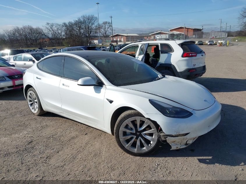 2023 Tesla Model 3 Rear-Wheel Drive VIN: 5YJ3E1EA8PF541492 Lot: 43856527