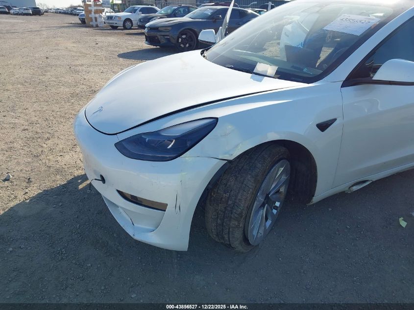 2023 Tesla Model 3 Rear-Wheel Drive VIN: 5YJ3E1EA8PF541492 Lot: 43856527
