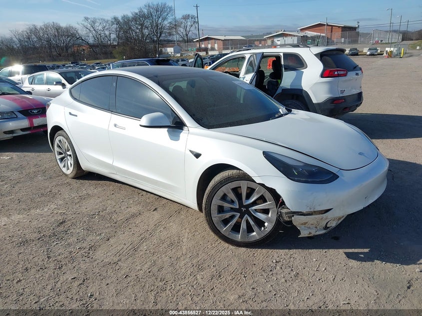 5YJ3E1EA8PF541492 2023 Tesla Model 3 Rear-Wheel Drive auction photo 1
