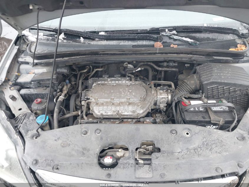 2005 Honda Odyssey Ex-L VIN: 5FNRL387X5B108362 Lot: 43856666