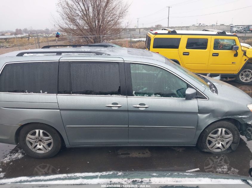 2005 Honda Odyssey Ex-L VIN: 5FNRL387X5B108362 Lot: 43856666