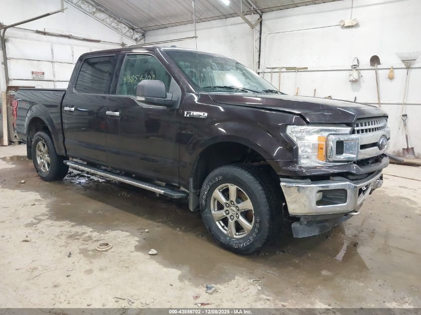 FORD F-150 XLT