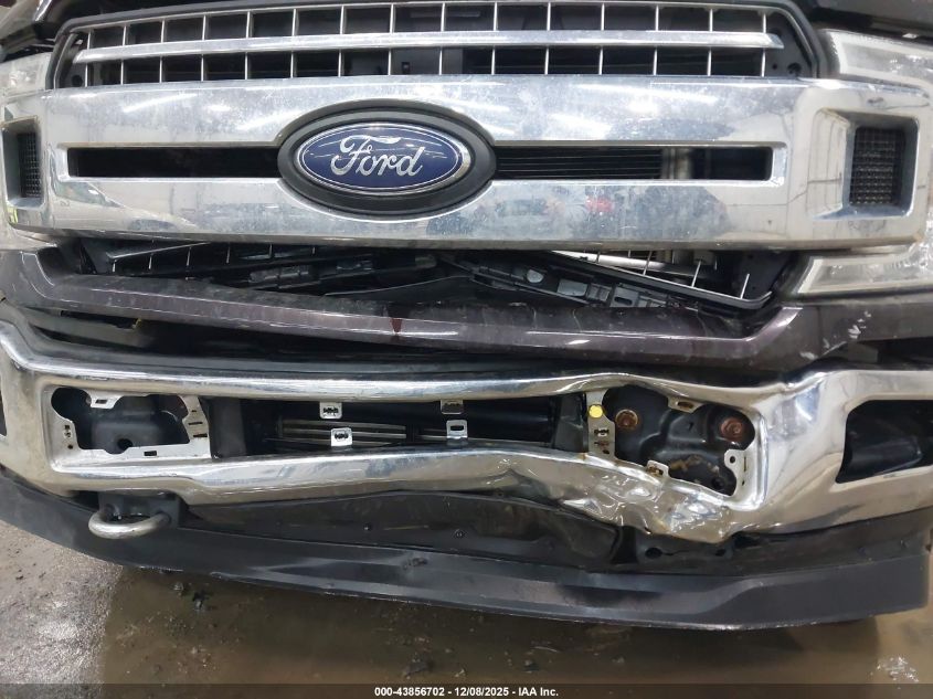 2018 Ford F-150 Xlt VIN: 1FTEW1EP1JFE42641 Lot: 43856702