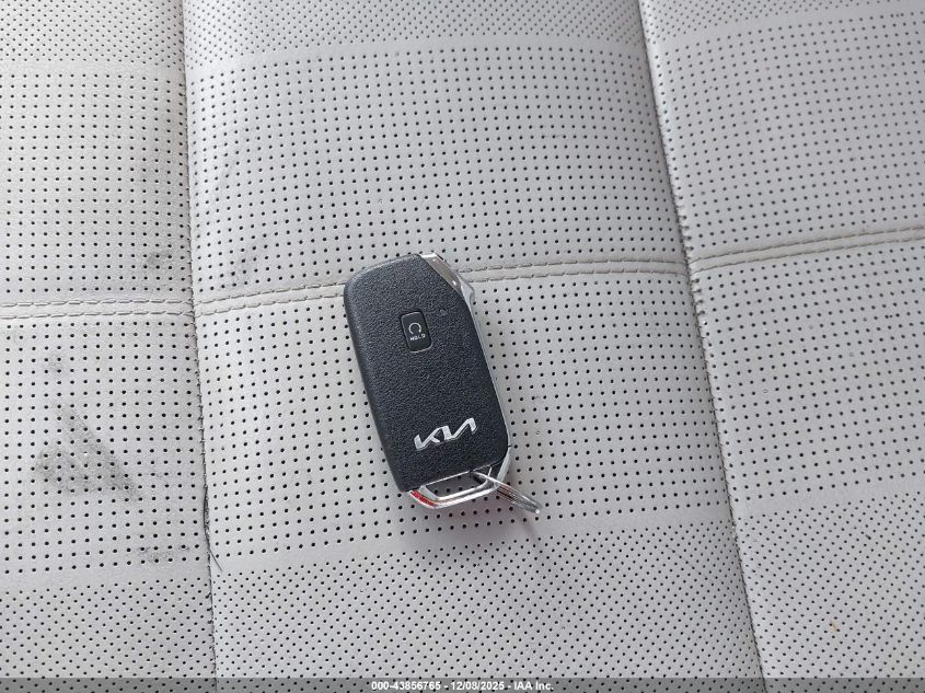 2022 Kia Telluride Sx VIN: 5XYP54HC0NG232685 Lot: 43856765