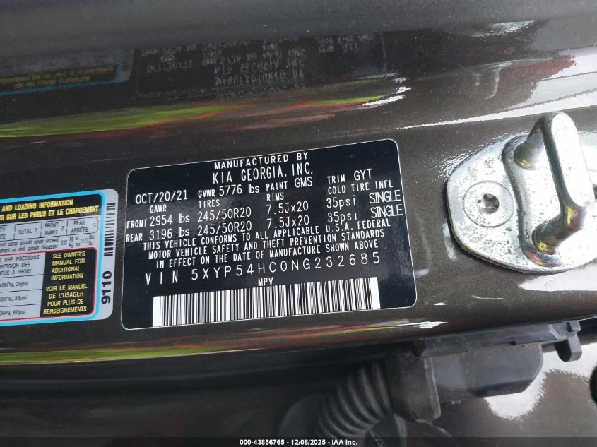 2022 Kia Telluride Sx VIN: 5XYP54HC0NG232685 Lot: 43856765