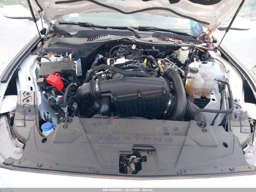 2024 Ford Mustang Ecoboost Fastback VIN: 1FA6P8TH1R5146662 Lot: 43856934