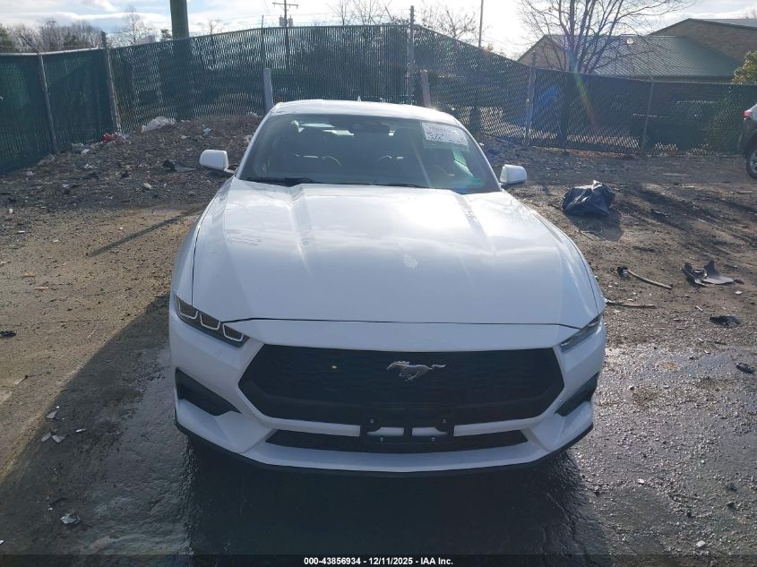 2024 Ford Mustang Ecoboost Fastback VIN: 1FA6P8TH1R5146662 Lot: 43856934