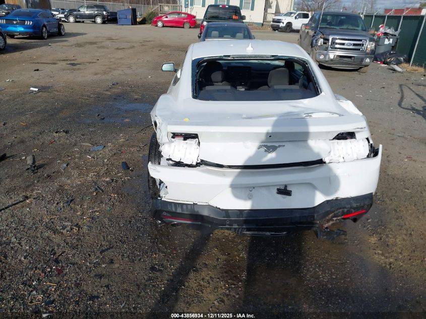 2024 Ford Mustang Ecoboost Fastback VIN: 1FA6P8TH1R5146662 Lot: 43856934