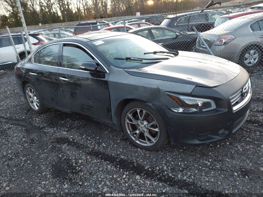 NISSAN MAXIMA 3.5 SV